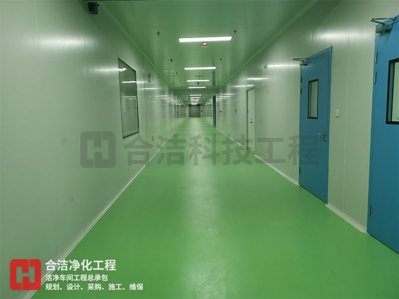 半導(dǎo)體潔凈車(chē)間的圖片